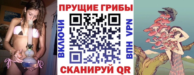 Галлюциногенные грибы ЛСД  Черногорск 