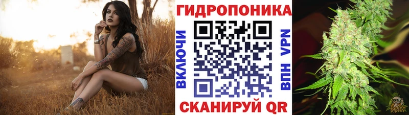 МАРИХУАНА AK-47  mega маркетплейс  Черногорск 